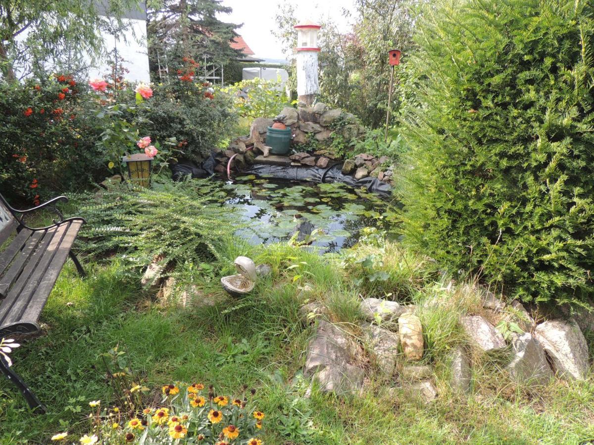 Ferienwohnung Am Hausberg In Radebeul Eksteriør billede