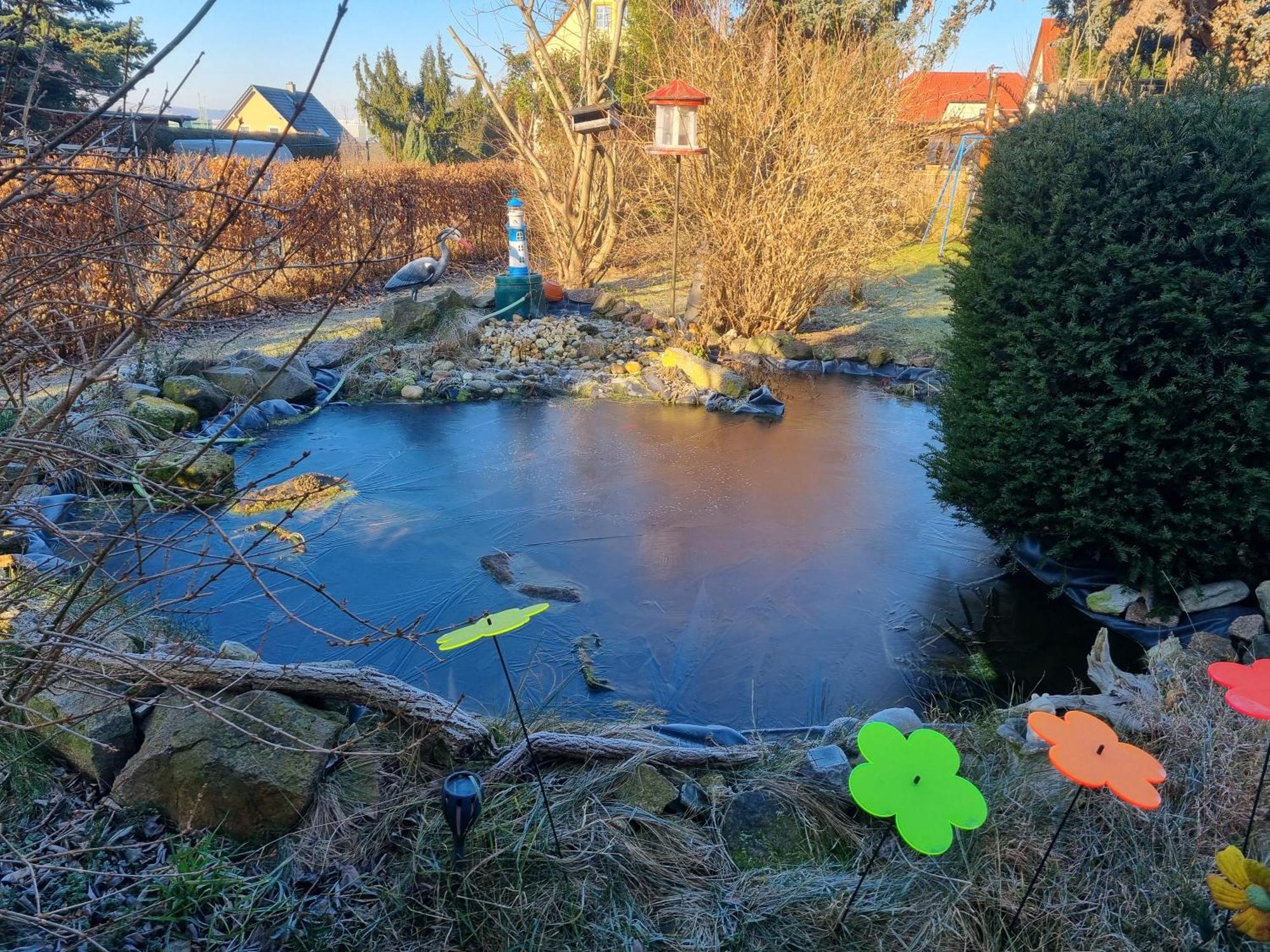 Ferienwohnung Am Hausberg In Radebeul Eksteriør billede